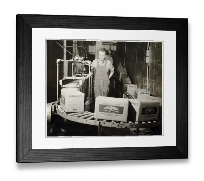 Framed Print : Factory Worker Watching a Conveyor Belt Framed Print : Factory Worker Watching a Conveyor Belt