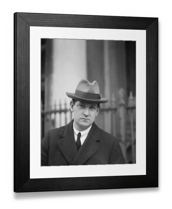Framed Print : Michael Collins Framed Print : Michael Collins