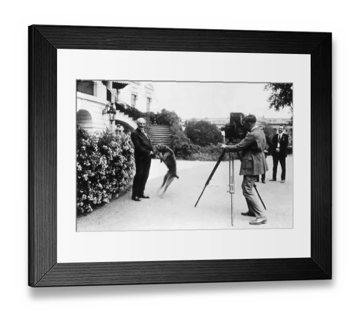 Framed Print : President Warren Harding and His Dog