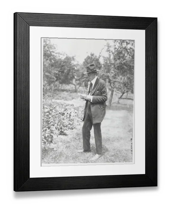 Framed Print : Man Reading in Garden Framed Print : Man Reading in Garden