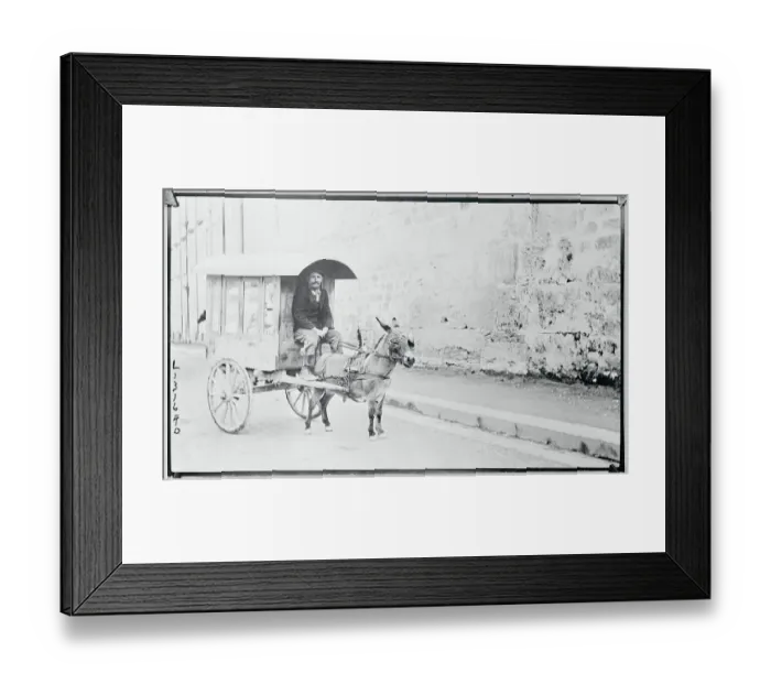 Framed Print : Man Driving Donkey Driven Cart Framed Print : Man Driving Donkey Driven Cart