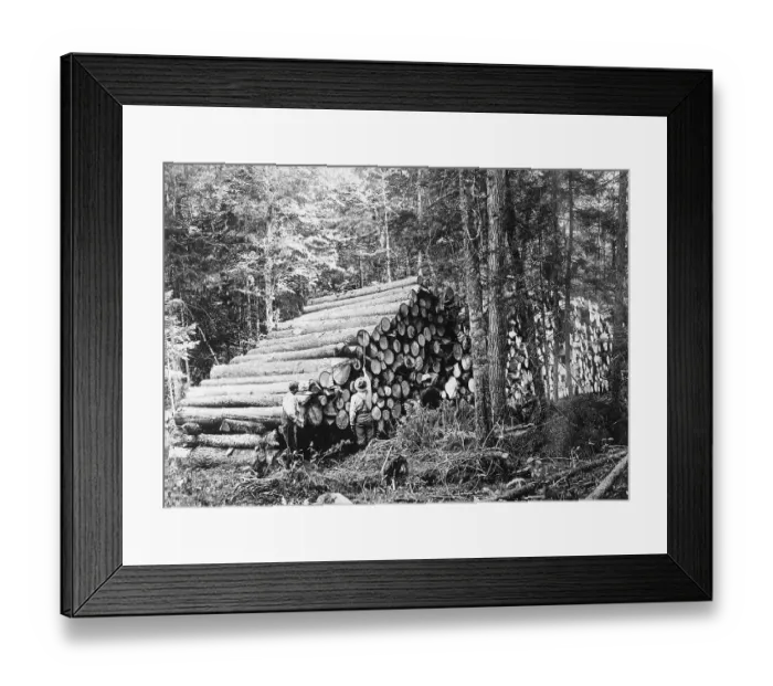 Framed Print : Forest Rangers Working in Forest Framed Print : Forest Rangers Working in Forest