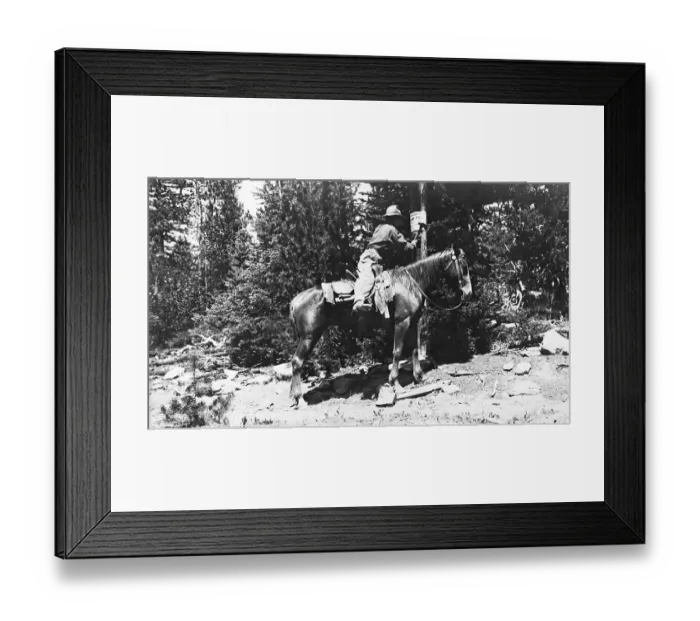 Framed Print : Forest Ranger on Horseback Framed Print : Forest Ranger on Horseback