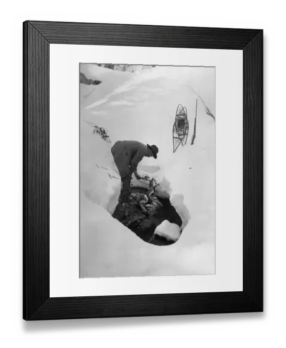 Framed Print : Forest Ranger Sets Trap in Snow Framed Print : Forest Ranger Sets Trap in Snow