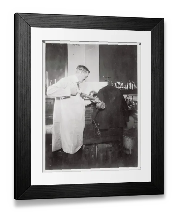 Framed Print : Fred Howard Making Clothes Moth Proof Framed Print : Fred Howard Making Clothes Moth Proof