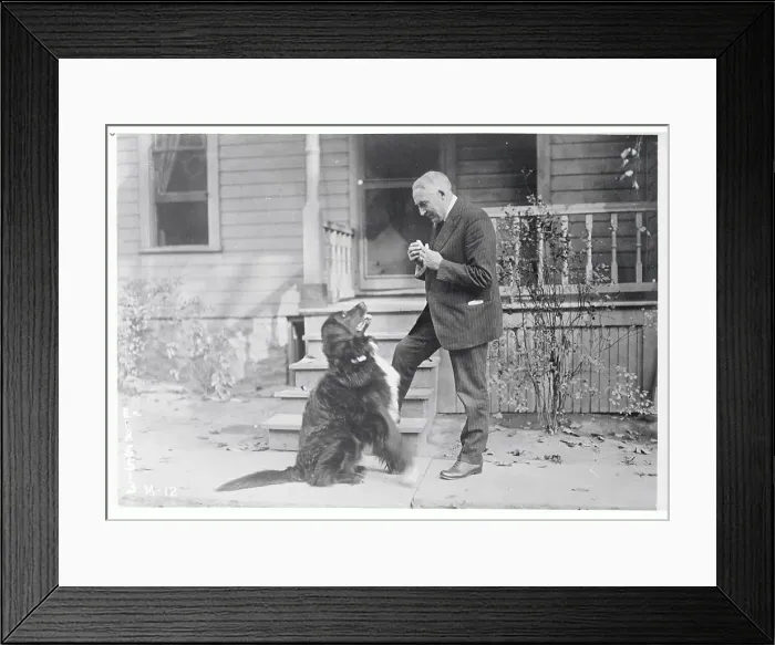 Framed Print : Warren G. Harding at Home with Dog Framed Print : Warren G. Harding at Home with Dog