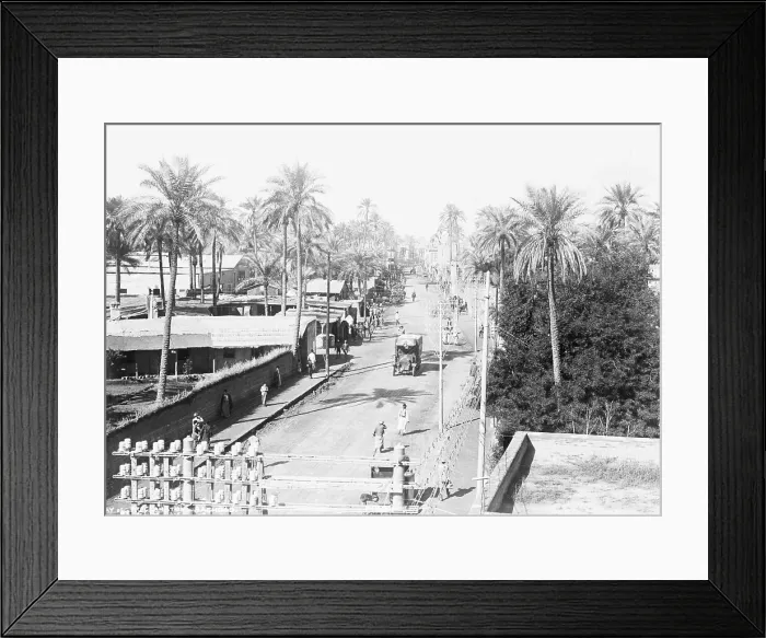 Framed Print : Jeep Drives Down Street Among Palm Trees Framed Print : Jeep Drives Down Street Among Palm Trees