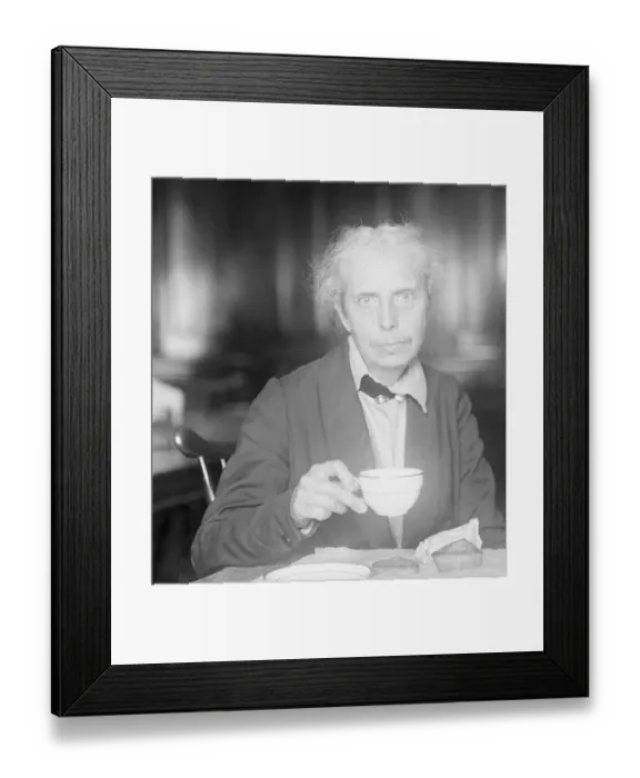 Framed Print : Author and Suffrage Leader Alice Stone Blackwell Framed Print : Author and Suffrage Leader Alice Stone Blackwell