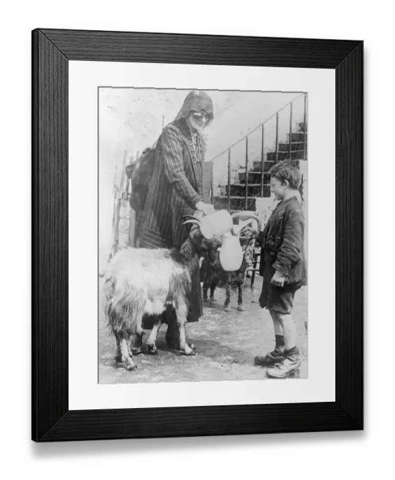 Framed Print : Maud McBride Distributing Milk