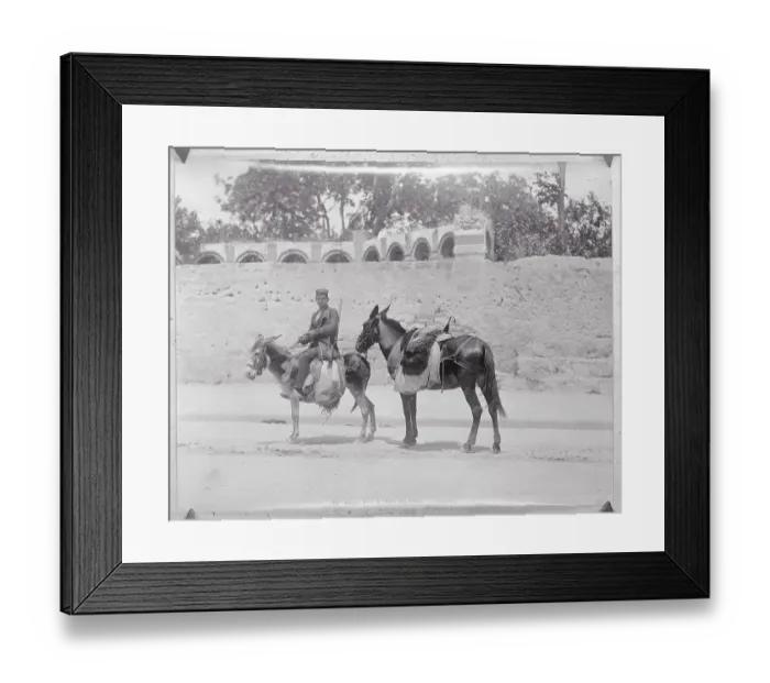 Framed Print : Man Sitting on Donkey With Horse Behind Framed Print : Man Sitting on Donkey With Horse Behind