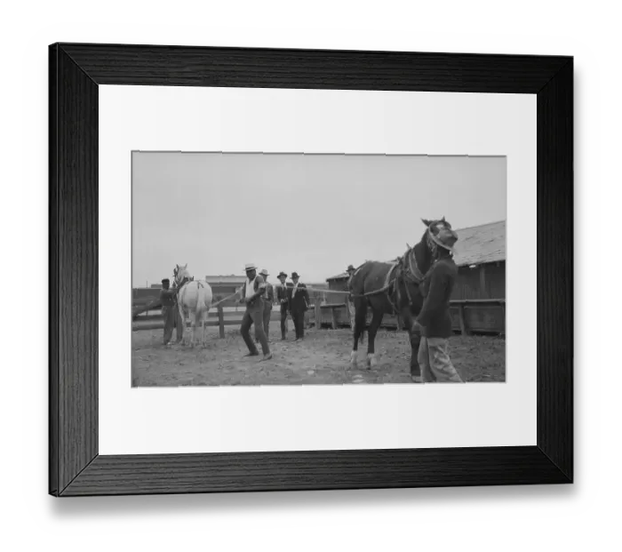 Framed Print : Man Pulling Against Two Horses Framed Print : Man Pulling Against Two Horses
