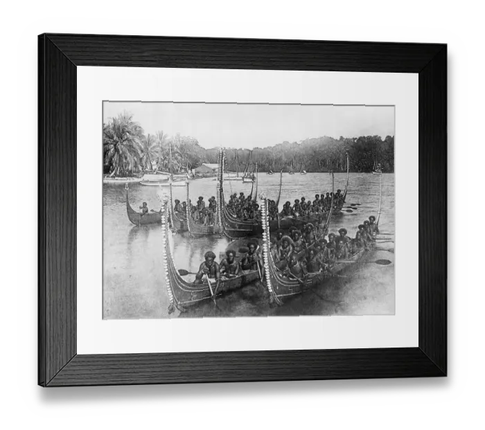Framed Print : Islanders Rowing War Canoes Framed Print : Islanders Rowing War Canoes