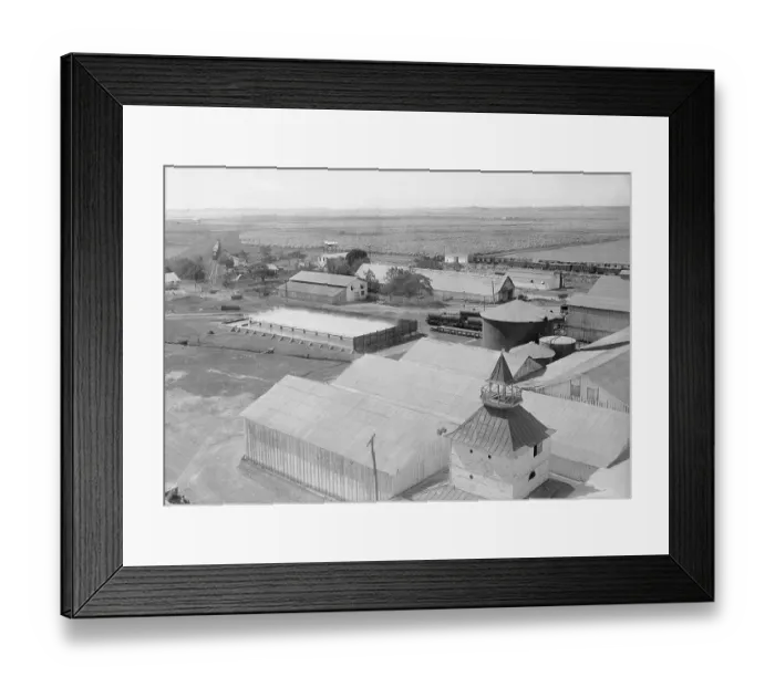 Framed Print : Sugar Plantation Framed Print : Sugar Plantation