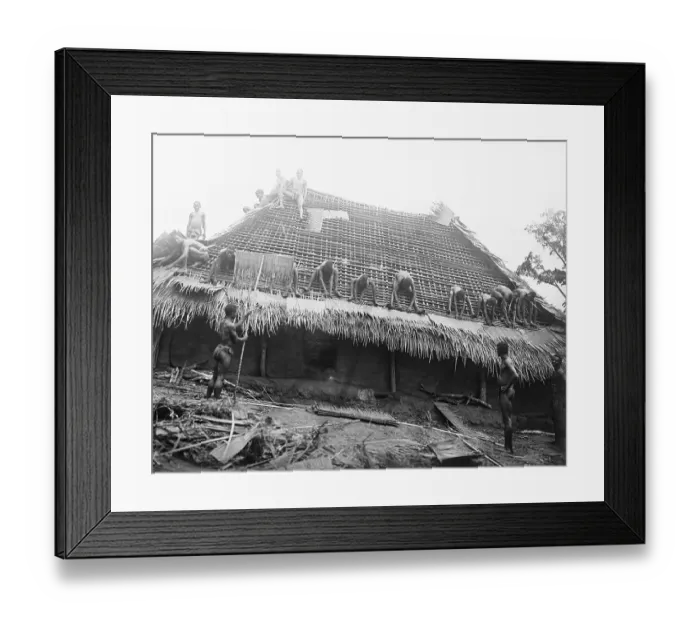 Framed Print : Ibos Working on Building a Hut Framed Print : Ibos Working on Building a Hut