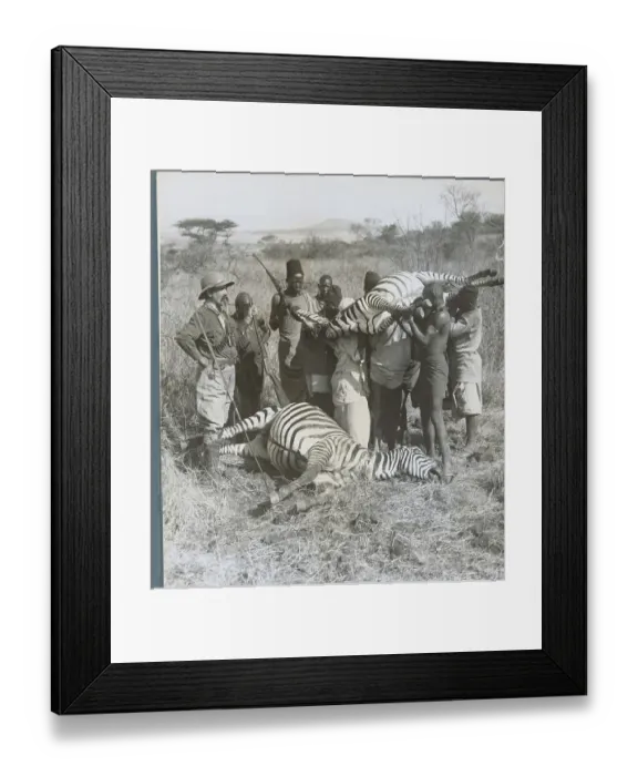 Framed Print : Hunters with Slain Zebra Framed Print : Hunters with Slain Zebra
