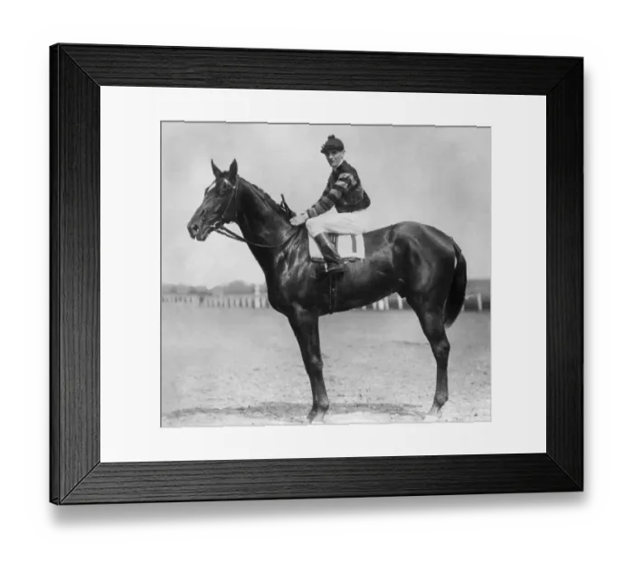 Framed Print : Man O War and Jockey Framed Print : Man O War and Jockey