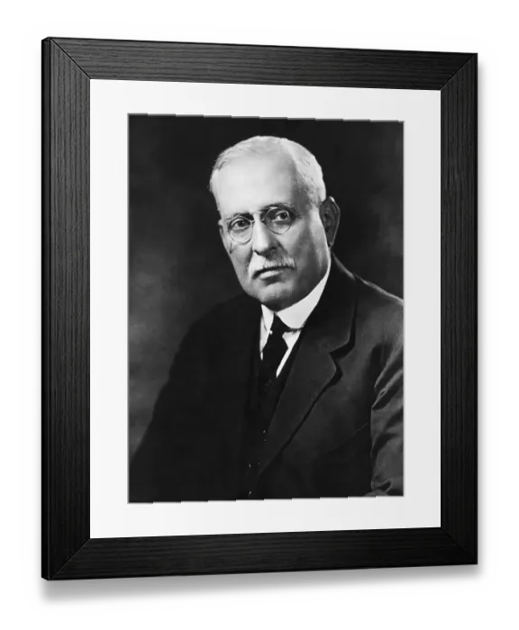 Framed Print : Public Utilities Magnate Samuel Insull Framed Print : Public Utilities Magnate Samuel Insull