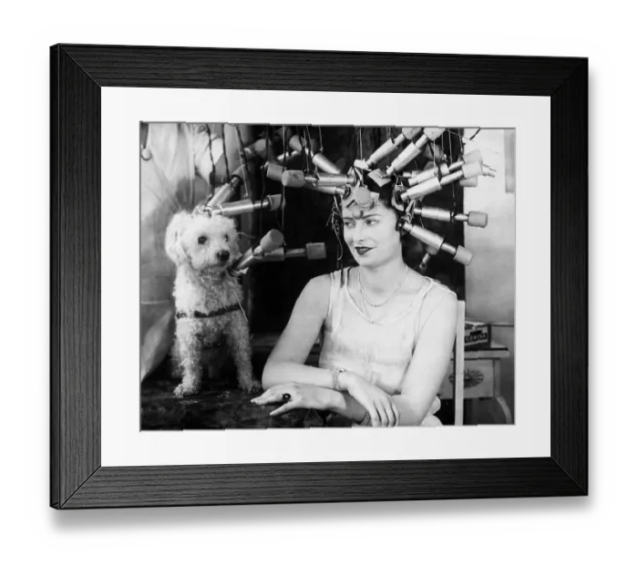 Framed Print : Woman and Pet Poodle Receiving Hair Treatments Framed Print : Woman and Pet Poodle Receiving Hair Treatments