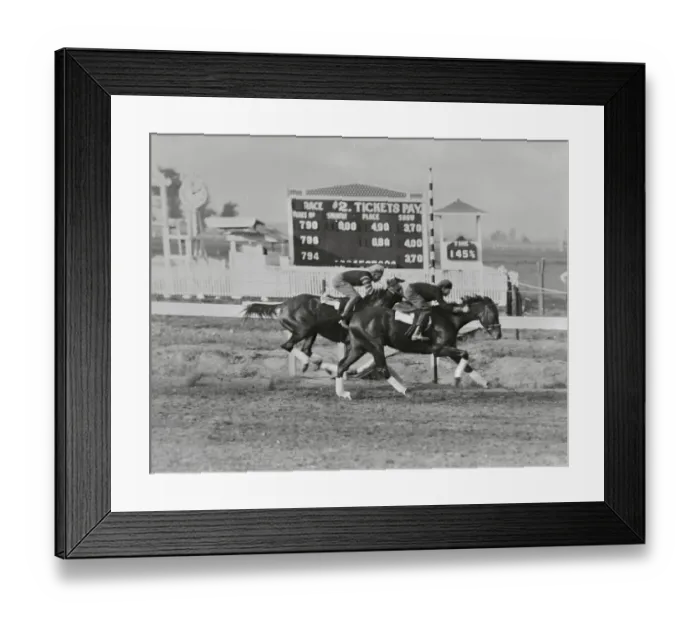 Framed Print : Man O War and Sir Barton Warming Up Framed Print : Man O War and Sir Barton Warming Up