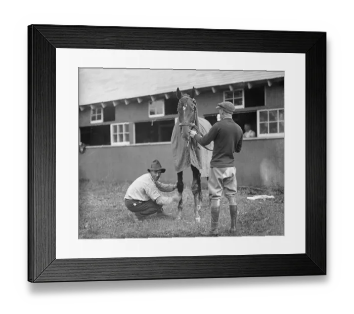 Framed Print : Racehorse Man O War Being Conditioned Framed Print : Racehorse Man O War Being Conditioned