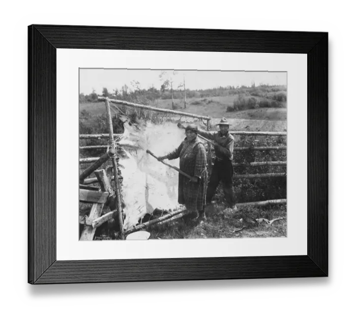 Framed Print : Native American Couple Finishing Buffalo Hide in Their Yard Framed Print : Native American Couple Finishing Buffalo Hide in Their Yard