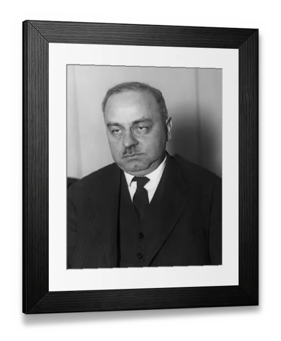 Framed Print : Alfred Adler Framed Print : Alfred Adler