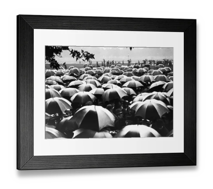 Framed Print : Sea of Umbrellas at London's Hyde Park Framed Print : Sea of Umbrellas at London's Hyde Park