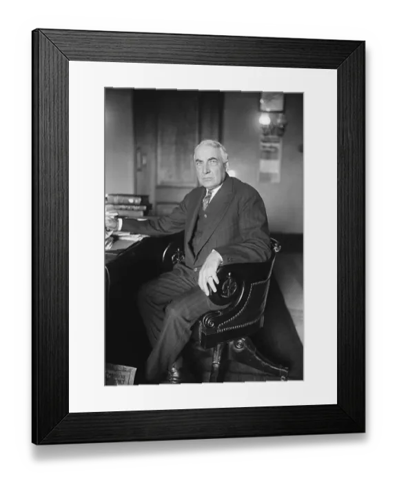 Framed Print : Senator Warren Harding Seated in Chair Framed Print : Senator Warren Harding Seated in Chair