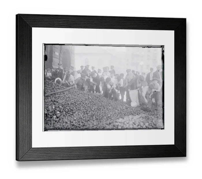 Framed Print : Poor Picking Potatoes Framed Print : Poor Picking Potatoes