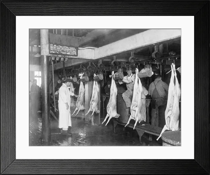 Framed Print : View Of Lamb Hanging In Slaughterhouse Framed Print : View Of Lamb Hanging In Slaughterhouse