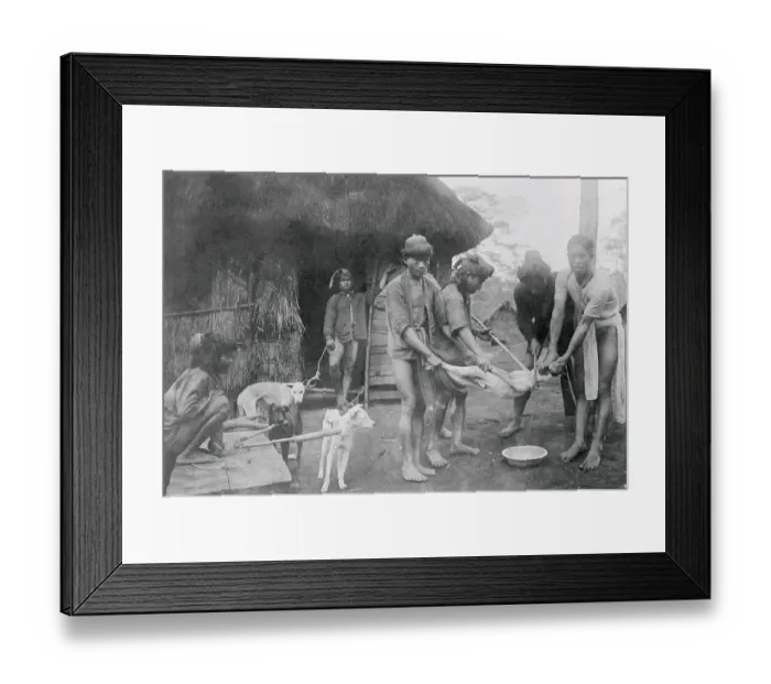 Framed Print : Islanders Preparing Dog for Feast Framed Print : Islanders Preparing Dog for Feast