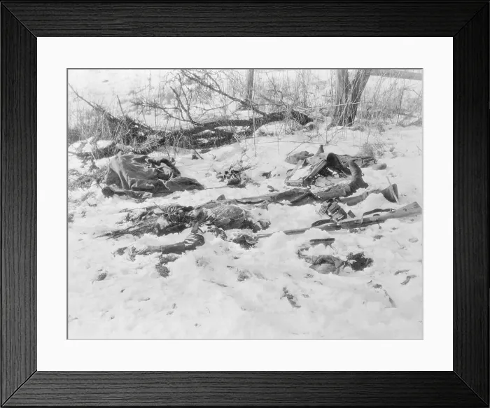 Framed Print : Bodies Uncovered By Melting Snow Framed Print : Bodies Uncovered By Melting Snow