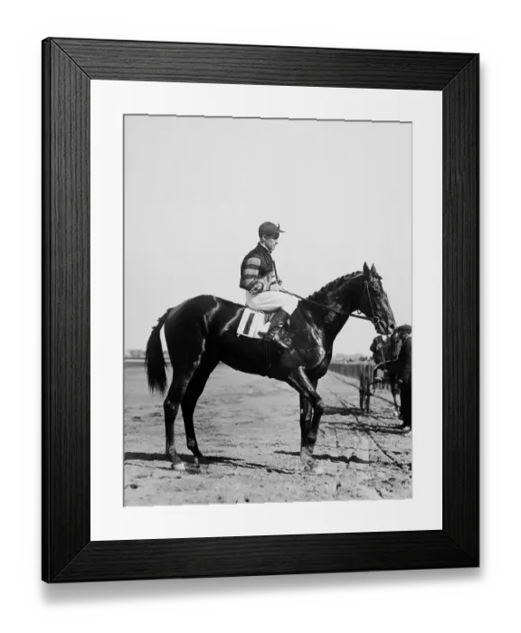 Framed Print : Man O'War, Famous Racehorse