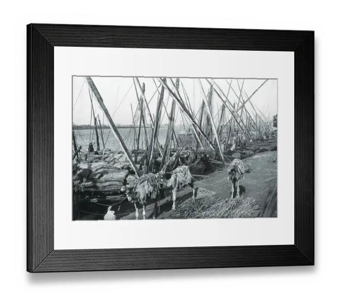 Framed Print : Cargo Boats at Old Cairo Framed Print : Cargo Boats at Old Cairo