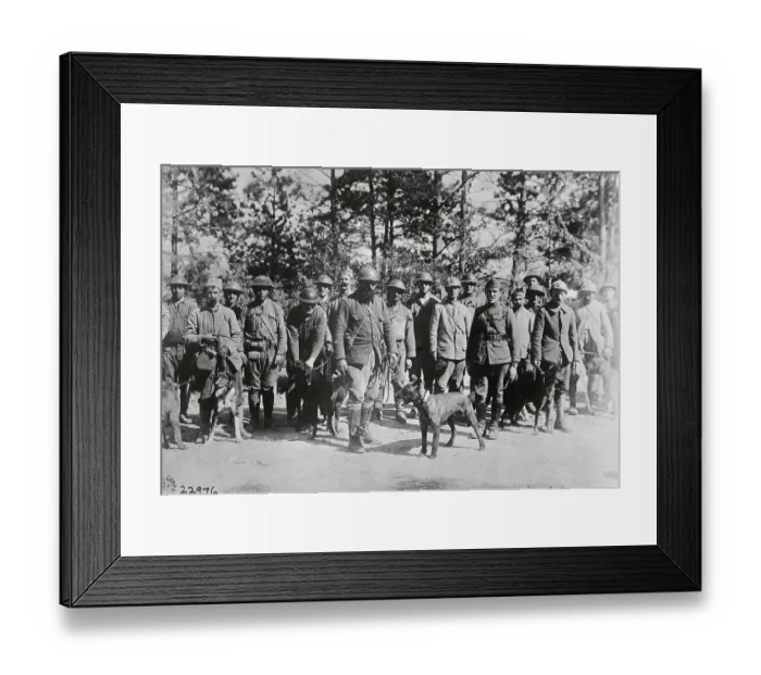 Framed Print : French Soldiers Training Messenger Dogs Framed Print : French Soldiers Training Messenger Dogs