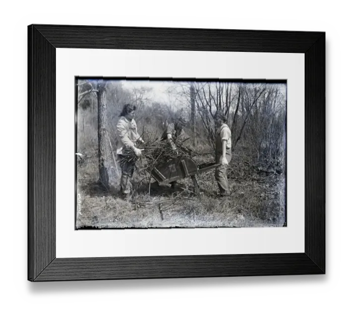 Framed Print : Clearing Ground For Plowing Framed Print : Clearing Ground For Plowing