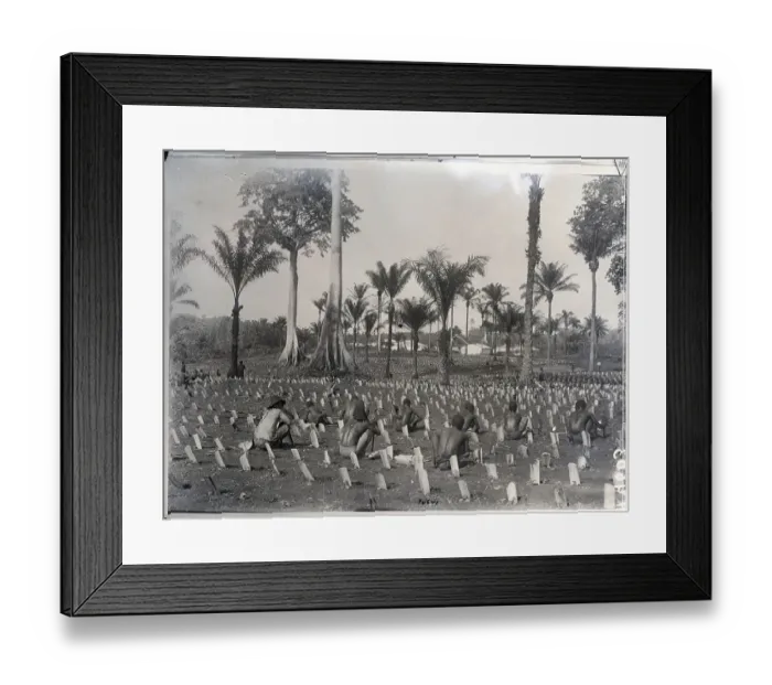 Framed Print : African Working On Tobacco Plantation Framed Print : African Working On Tobacco Plantation
