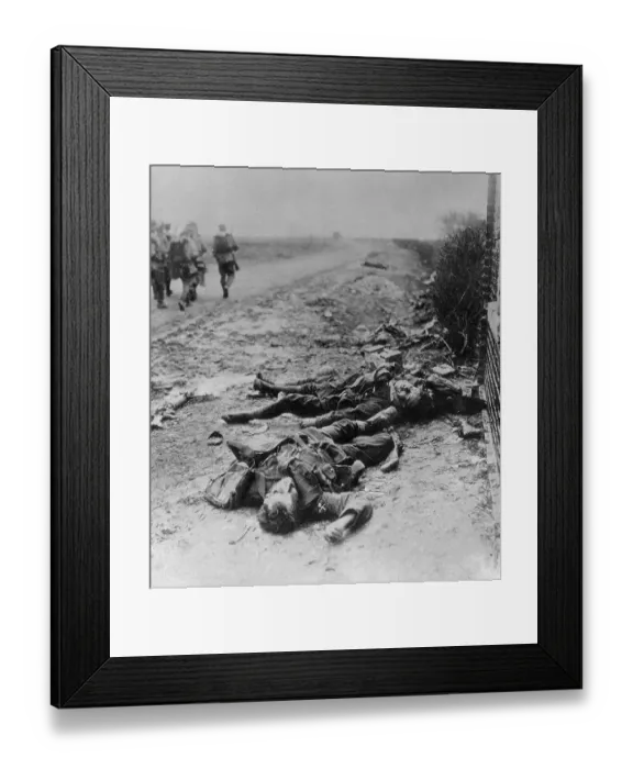 Framed Print : Casualties of World War I Framed Print : Casualties of World War I