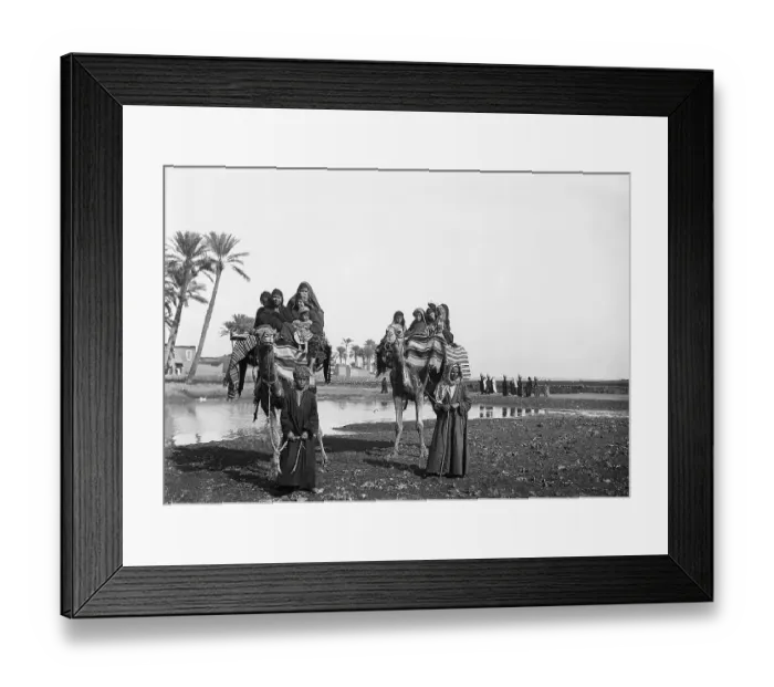 Framed Print : Men Pulling Camels Framed Print : Men Pulling Camels