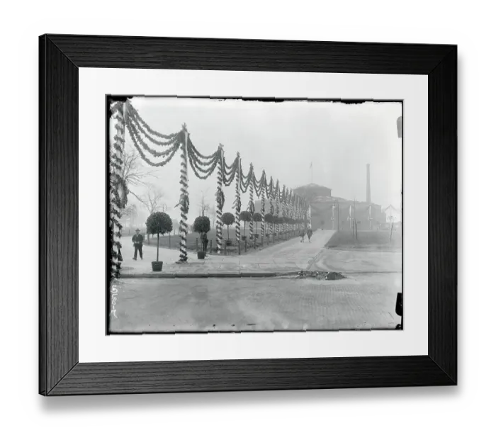 Framed Print : Lei Draped Poles in Battery Park Framed Print : Lei Draped Poles in Battery Park