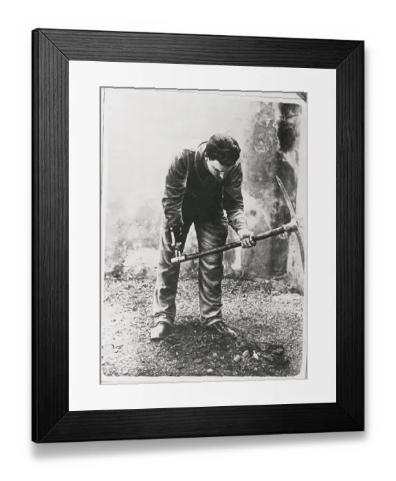 Framed Print : War Veteran Wielding Pick with Artificial Hand Framed Print : War Veteran Wielding Pick with Artificial Hand