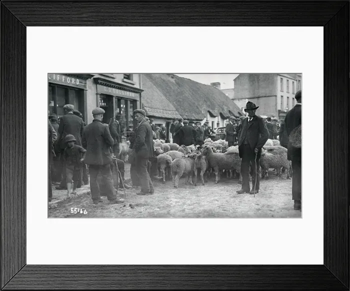 Framed Print : People Wandering Through a Sheep Market Framed Print : People Wandering Through a Sheep Market