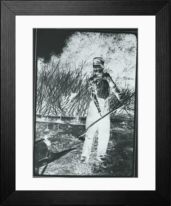 Framed Print : War Veteran Spading with Artificial Limbs Framed Print : War Veteran Spading with Artificial Limbs