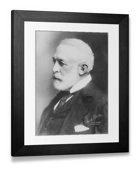 Framed Print : Profile Portrait of Henry Clay Frick Framed Print : Profile Portrait of Henry Clay Frick