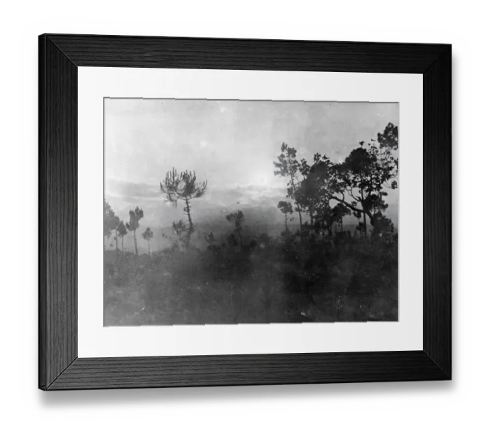 Framed Print : Miracle at Fatima Framed Print : Miracle at Fatima