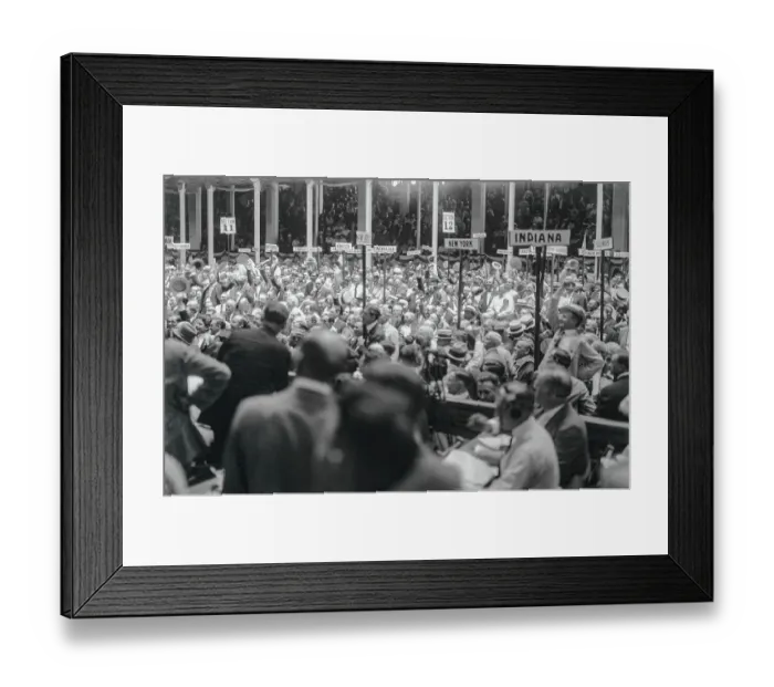 Framed Print : Crowd at National Democratic Convention Framed Print : Crowd at National Democratic Convention