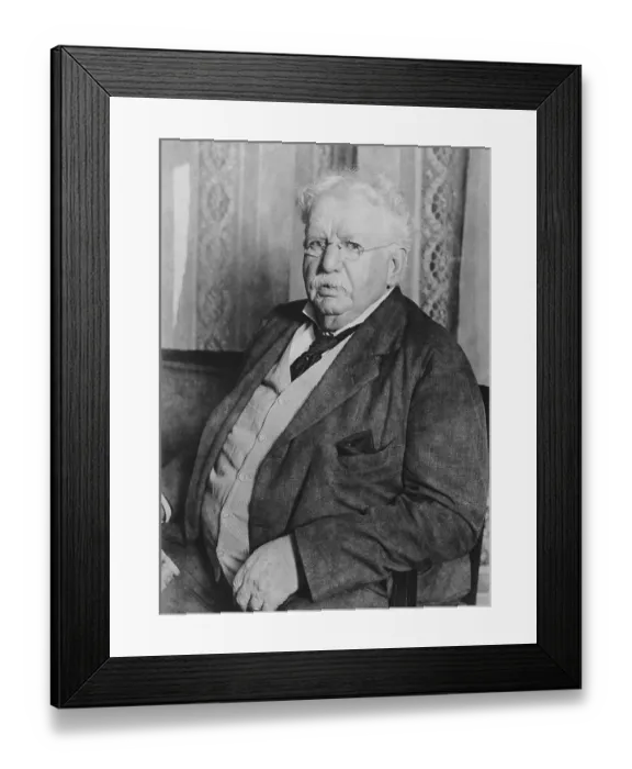 Framed Print : Theodore N. Vail