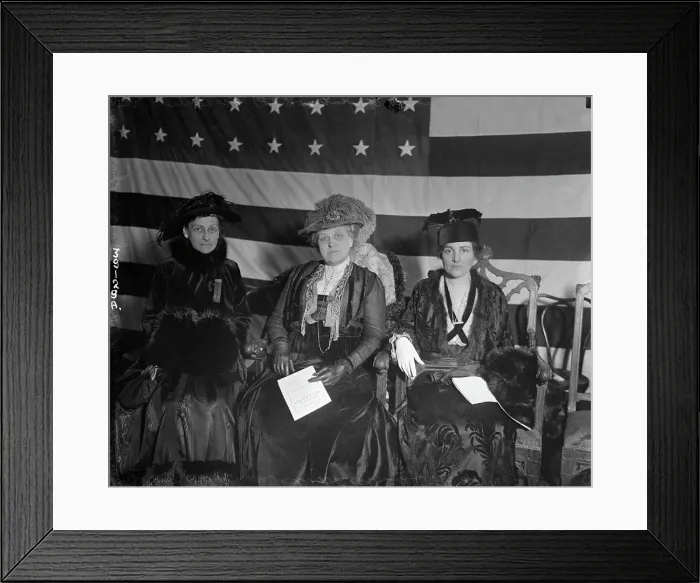 Framed Print : Women at Sufferage Convention Framed Print : Women at Sufferage Convention