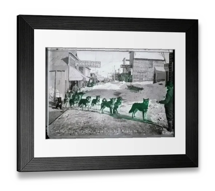 Framed Print : Mail Carrying, Derby Winning Dogsled Team Framed Print : Mail Carrying, Derby Winning Dogsled Team
