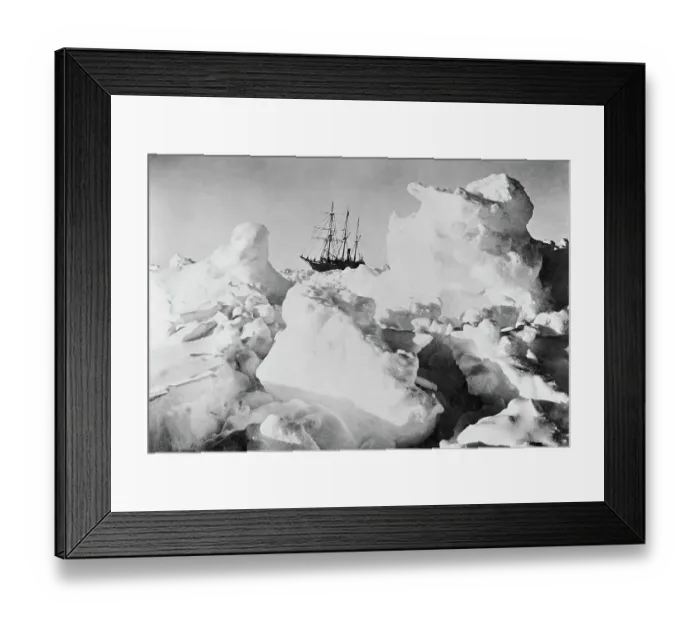 Framed Print : Ernest Shackleton's Ship Endurance Trapped in Ice Framed Print : Ernest Shackleton's Ship Endurance Trapped in Ice